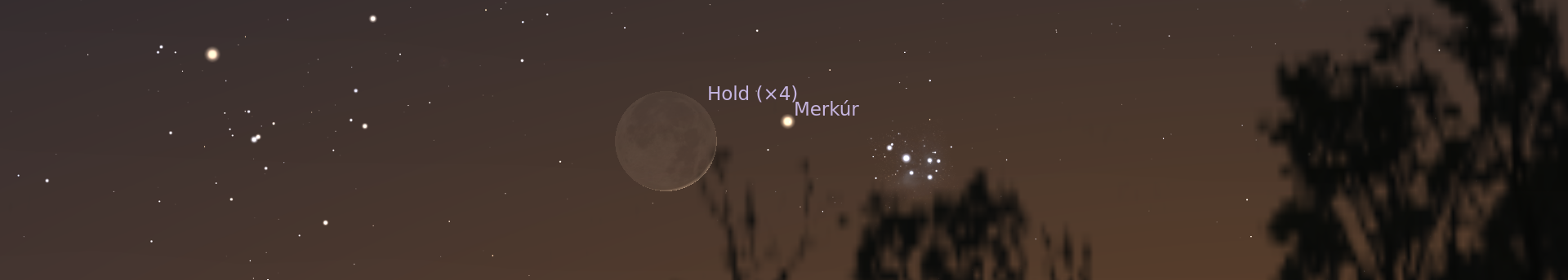 A dupla sarló és a csibék