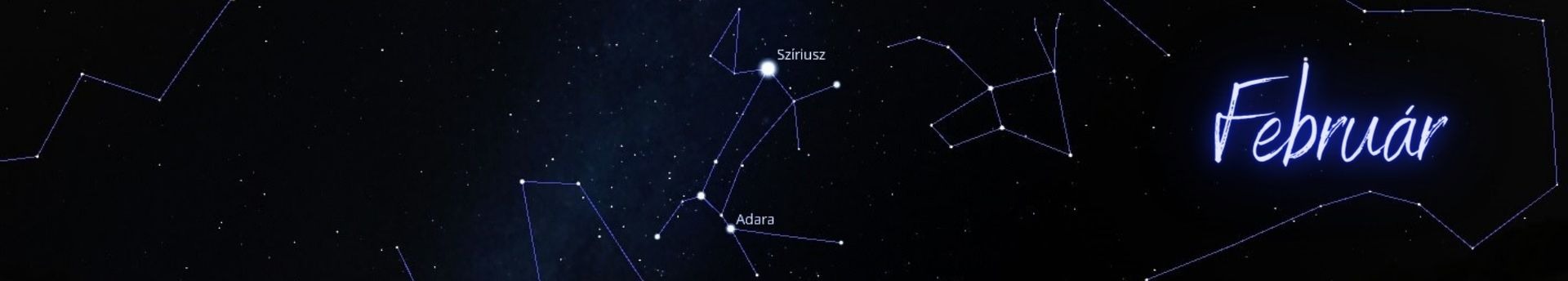 A kutya szívében döngicsél a kis méhkas