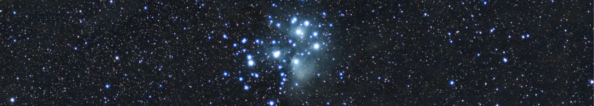 A holdsarló találkozása a Fiastyúkkal