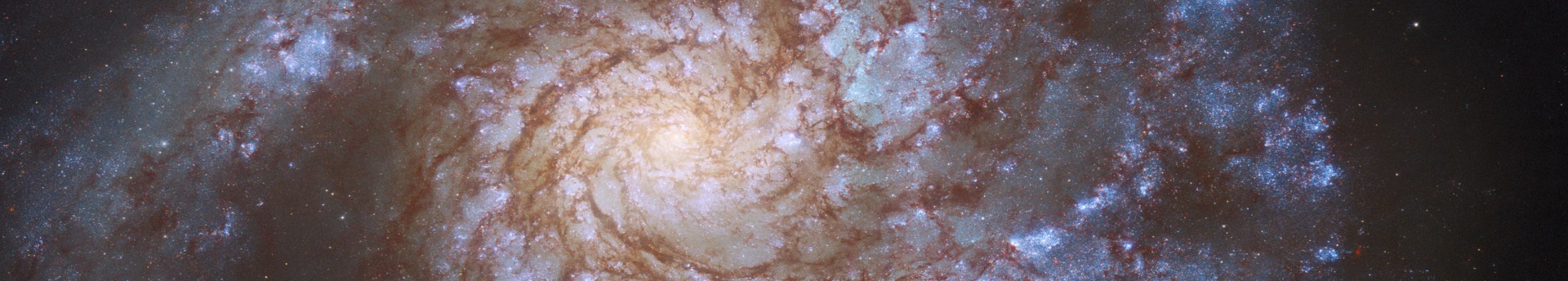 Messier 99 – Szent Katalin kereke