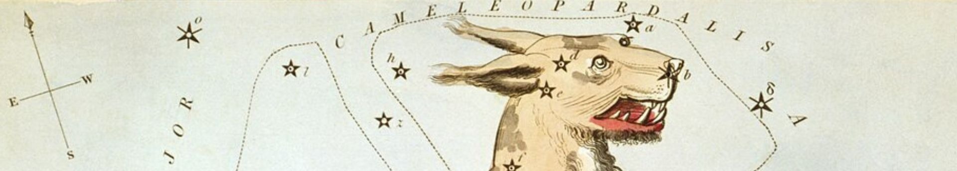 Az égbolton lopakodó Hiúz