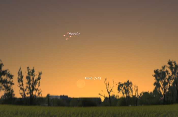 A dupla sarló és a csibék