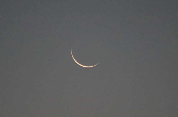 Pengevékony hajnali holdsarló