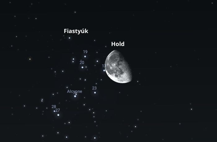 A Hold elfedi a Fiastyúkot