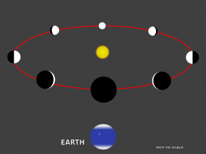 A Vénusz és a Merkúr a Föld pályáján belül kering, így mindenféle fázist mutathatnak. A Mars nem kerülhet a Föld és a Nap közé, így soha nem láthatunk újmarst. Kép forrása: https://en.wikipedia.org/wiki/File:Phases-of-Venus2.svg&nbsp;