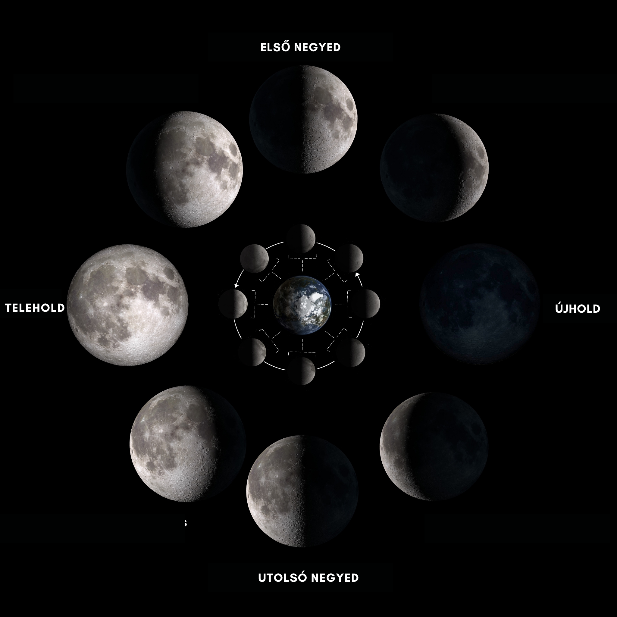 A kép a Hold fázisait Ábrázolja: újhol, első negyed, telihold, utolsó negyed  (Forrás:  https://solarsystem.nasa.gov/resources/676/phases-of-the-moon/
