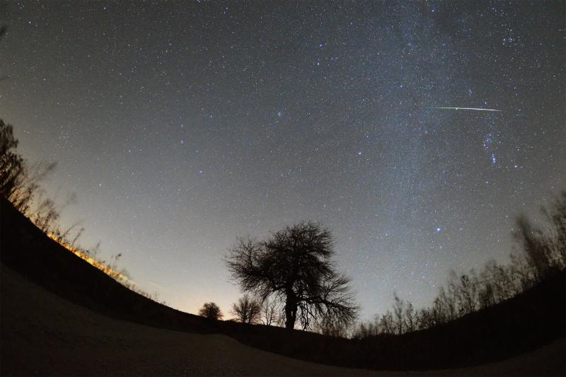 A Leonidák meteorraj egy tagja (A képet készítette: Landy-Gyebnár Mónika, 2017.11.20. 01:50:00 Hárskút, forrás: mcse.eszlelesek.hu)