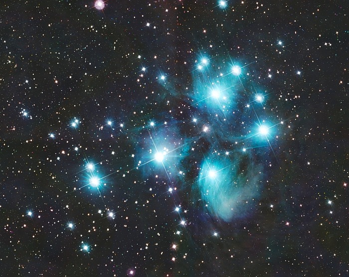 A Fiastyúk csillagcsibéi - 12.12.